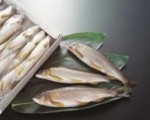 鮎 13尾 1kg